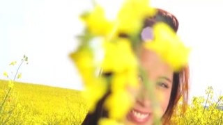 Paula Shy - Yellow flower field